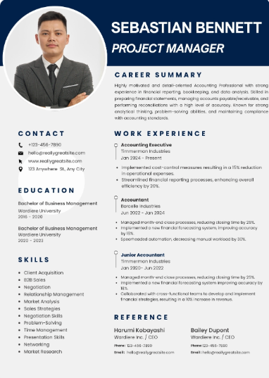 Professional CV Sample 37